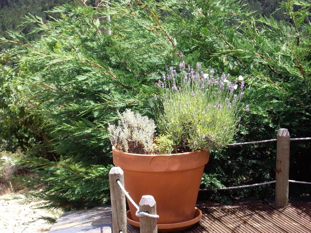 Patio Do Xisto Villa Gondramaz ภายนอก รูปภาพ